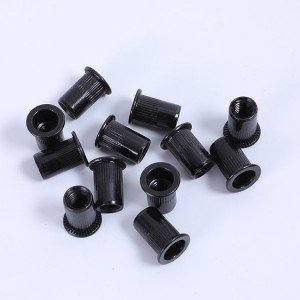 High Strength Grade 4 8 10 12 Steel Black Oxide DIN7340 Rivet Nuts
