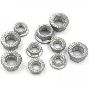 High Strength Grade 4 8 10 12 Steel Hot Dip Galvanized HDG Plated DIN6923 Hex Flange Nuts