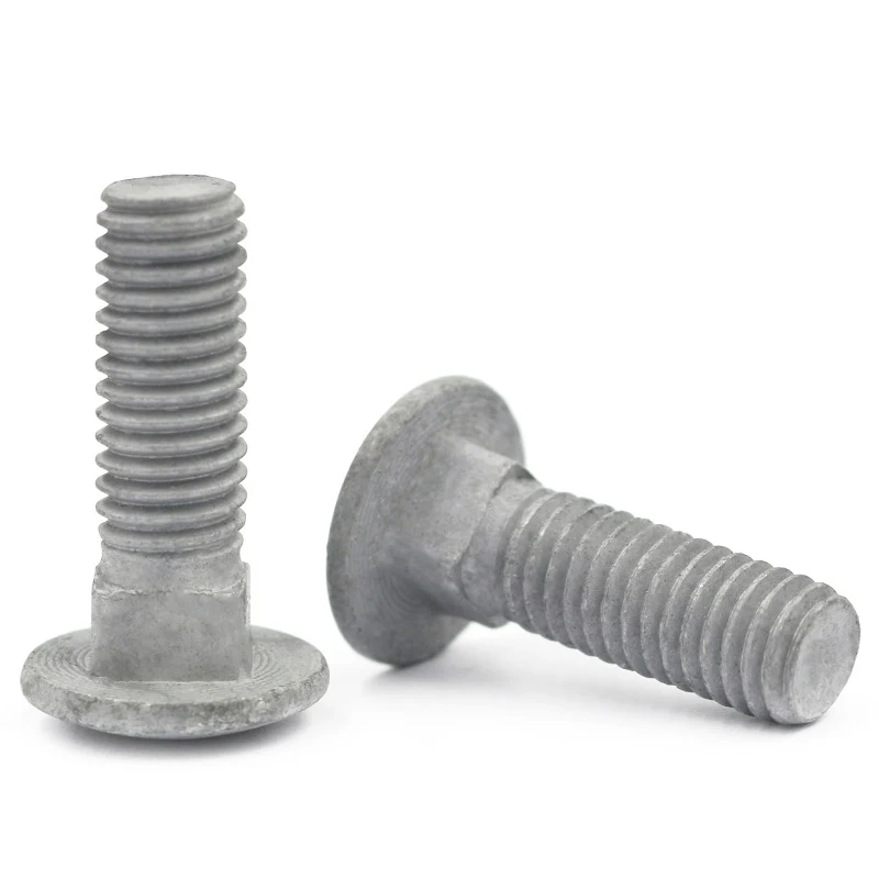 High Strength Grade 4.8 8.8 10.9 12.9 Hot Dip Galvanized HDG DIN603 C ( (6)