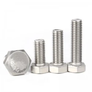 Stainless Steel SS201 SS304 SS316 A2-70 A4-80 Hex Bolts