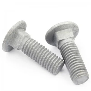 High Strength Grade 4.8 8.8 10.9 12.9 Hot Dip Galvanized HDG DIN603 Carriage Bolts