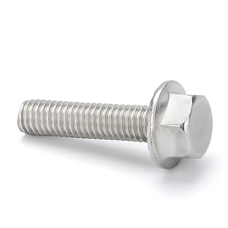 Stainless Steel A2-70 A4-80 SS201 SS304 SS316 DIN6921 Flange Bolts Featured Image