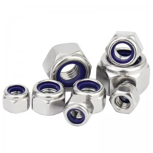 Stainless Steel A2-70 A4-80 SS201 SS304 SS316 DIN982 DIN985 Nylon Lock Nuts Nylock Nuts