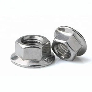 Stainless Steel A2-70 A4-80 SS201 SS304 SS316 DIN6923 Hex Flange Nuts