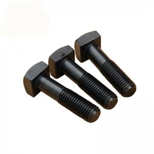 High Strength Grade 4.8 8.8 10.9 12.9 Black Oxide DIN186 T Bolts