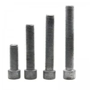 High Strengh Grade 4.8 8.8 10.9 12.9 Steel Hot Dip Galvanized HDG DIN912 Allen Bolts
