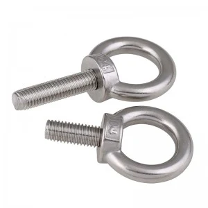Stainless Steel A2-70 A4-80 SS201 SS304 SS316 DIN580 Eye Bols