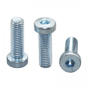 High Strength Grade 4.8 8.8 10.9 12.9 Steel Galvanized White Blue Zinc Plated DIN7984 Low Head Hex Socket Bolts