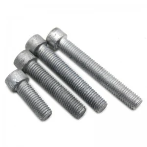 High Strengh Grade 4.8 8.8 10.9 12.9 Steel Hot Dip Galvanized HDG DIN912 Allen Bolts