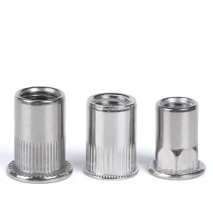 Stainless Steel A2-70 A4-80 SS201 SS304 SS316 DIN7340 Rivet Nuts