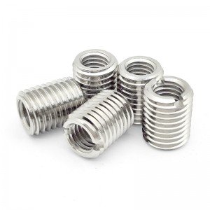 Stainless Steel A2-70 A4-80 SS201 SS304 SS316 Insert Nuts