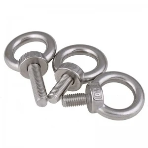 Stainless Steel A2-70 A4-80 SS201 SS304 SS316 DIN580 Eye Bols