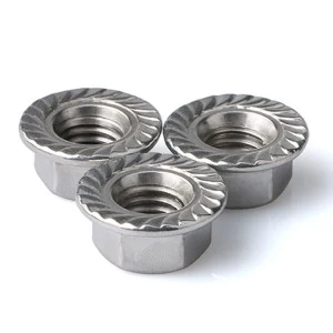 Stainless Steel A2-70 A4-80 SS201 SS304 SS316 DIN6923 Hex Flange Nuts