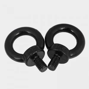 High Strength Grade 4.8 8.8 10.9 12.9 Steel Black Oxide DIN580 Eye Bolts