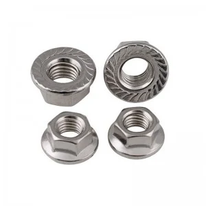 Stainless Steel A2-70 A4-80 SS201 SS304 SS316 DIN6923 Hex Flange Nuts