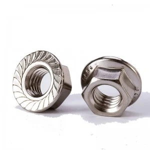 Stainless Steel A2-70 A4-80 SS201 SS304 SS316 DIN6923 Hex Flange Nuts