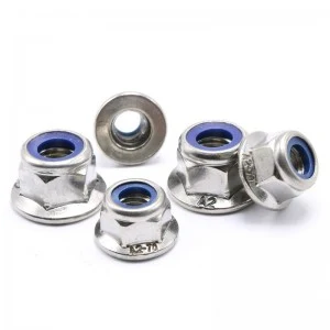 Stainless Steel A2-70 A4-80 SS201 SS304 SS316 DIN6926 DIN1663 Nylon Lock Nuts With Flange Flange Nylock Nuts