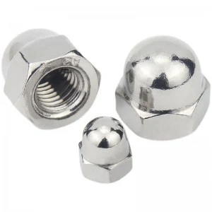 Stainless Steel A2-70 A4-80 SS201 SS304 SS316 DIN1587 Cap Nuts