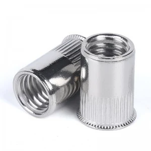 Stainless Steel A2-70 A4-80 SS201 SS304 SS316 DIN7340 Rivet Nuts