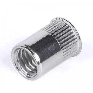 Stainless Steel A2-70 A4-80 SS201 SS304 SS316 DIN7340 Rivet Nuts