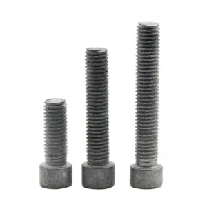High Strengh Grade 4.8 8.8 10.9 12.9 Steel Hot Dip Galvanized HDG DIN912 Allen Bolts