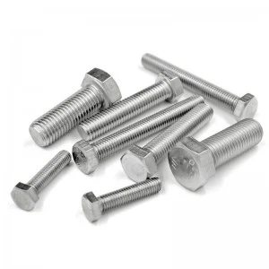 Stainless Steel SS201 SS304 SS316 A2-70 A4-80 Hex Bolts