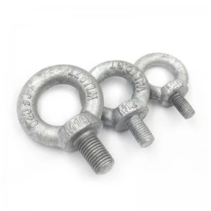 High Strength Grade 4.8 8.8 10.9 12.9 Steel Hot Dip Galvanized HDG DIN580 Eye Bolts