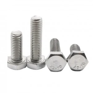 Stainless Steel SS201 SS304 SS316 A2-70 A4-80 Hex Bolts