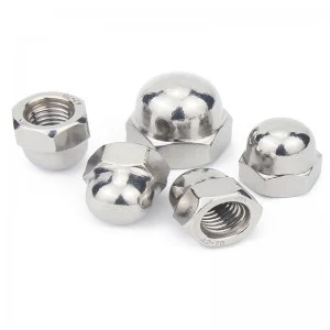 Stainless Steel A2-70 A4-80 SS201 SS304 SS316 DIN1587 Cap Nuts