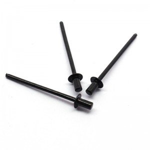 Rivet bolts Φ3.2-Φ6.4 Closed-end flat round head blind rivets iron black