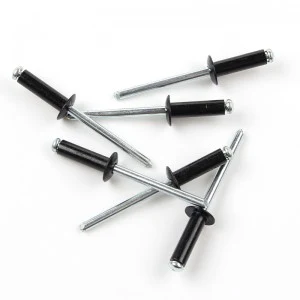 Rivet bolts Φ2.4-Φ5 Blind rivet bolts Black paint head