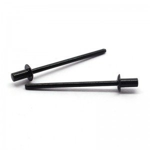 Rivet bolts Φ3.2-Φ6.4 Closed-end flat round head blind rivets iron black