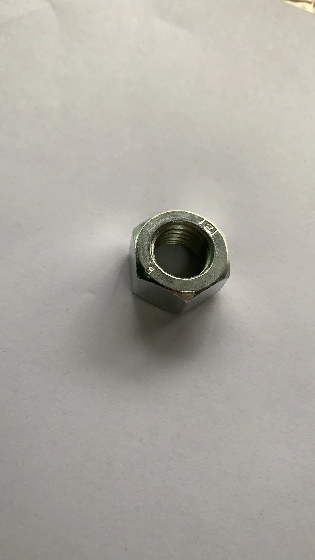 Hex Nut Hardware Fasteners / Hex Head Nuts Of 4.8 8.8 10.9 Grade With Iron image 3