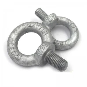 High Strength Grade 4.8 8.8 10.9 12.9 Steel Hot Dip Galvanized HDG DIN580 Eye Bolts