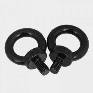 High Strength Grade 4.8 8.8 10.9 12.9 Steel Black Oxide DIN580 Eye Bolts