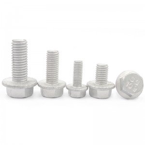 High Strength Grade 4.8 8.8 10.9 12.9 Hot Dip Galvanized HDG DIN6921 Flange Bolts
