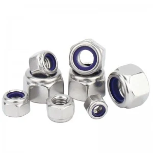 Stainless Steel A2-70 A4-80 SS201 SS304 SS316 DIN982 DIN985 Nylon Lock Nuts Nylock Nuts