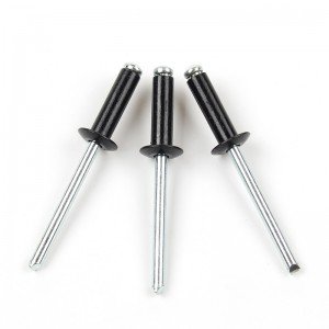 Rivet bolts Φ2.4-Φ5 Blind rivet bolts Black paint head