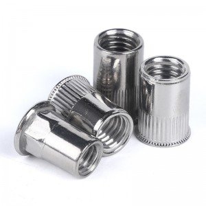 Stainless Steel A2-70 A4-80 SS201 SS304 SS316 DIN7340 Rivet Nuts