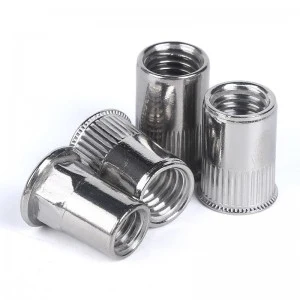 Stainless Steel A2-70 A4-80 SS201 SS304 SS316 DIN7340 Rivet Nuts